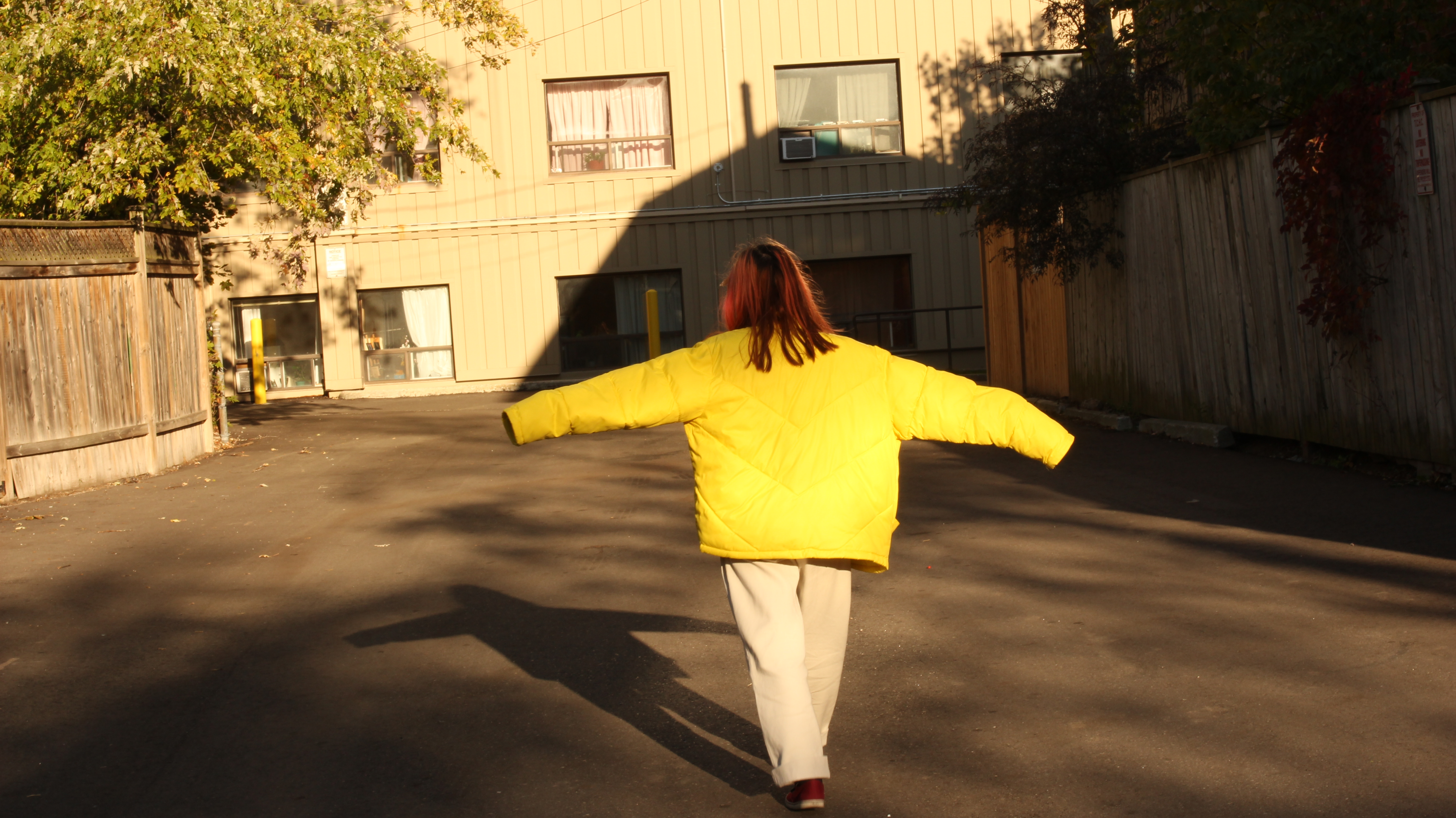 Film/Video Cover